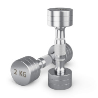 Гантель UNIX Fit PRO круглая хромированная 2 кг, 2 шт.